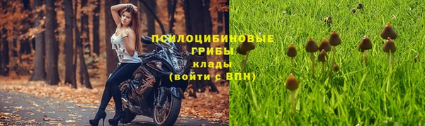дурь Абинск