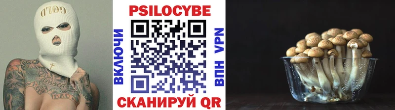 где можно купить наркотик  KRAKEN зеркало  Галлюциногенные грибы прущие грибы  Нефтеюганск 